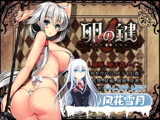 [RPG/战斗H/援交/STEAM官中/多P/触手/巨乳][RJ269035/ハソユア社团]卵之键/卵の鍵[Ver1.02][PC/900M]-6.jpg