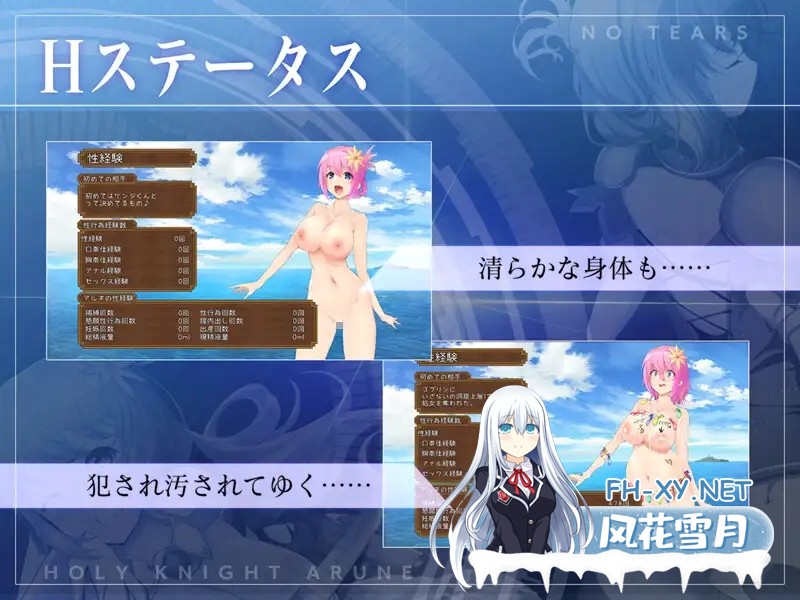 [ACT/动态/生肉/幻想/NTR/中出/巨乳/更新][RJ319122/NoTears社团]圣骑士阿尔内与魔孕的咒印/聖騎士アルネと魔孕の呪印～Another No Tears～[Ver1.05][PC/4.40G]-7.jpg