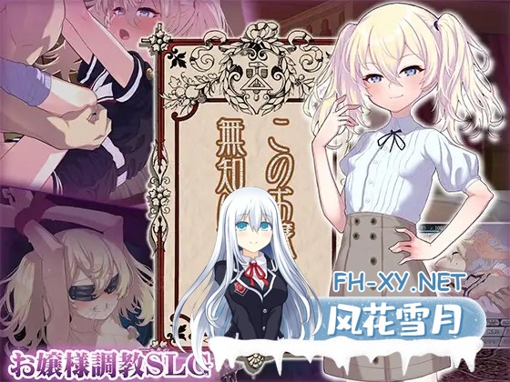 [SLG/PC/AI汉化] 这位小姐，因无知所致。 このお嬢様、無知につき Ver2 V1.1.0 [455M]-9.jpg