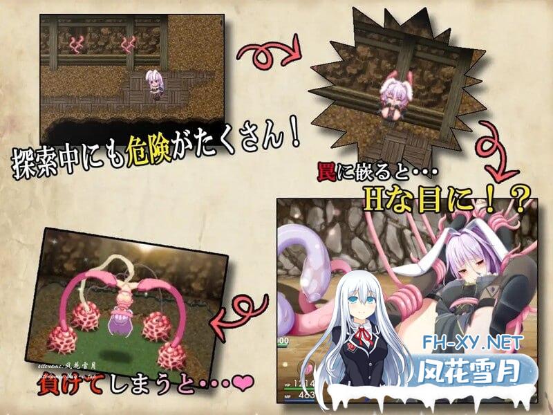 1167cae71a496a2.png