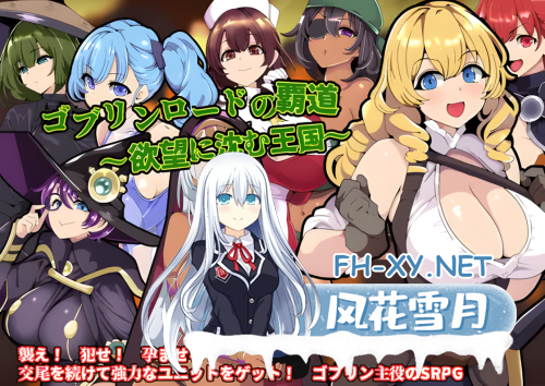 [日系RPG/AI汉化] 哥布林王的霸道～沉沦于欲望的王国～ ゴブリンロードの覇道～欲望に沈む王国～Mtool汉化[801M]-4.png