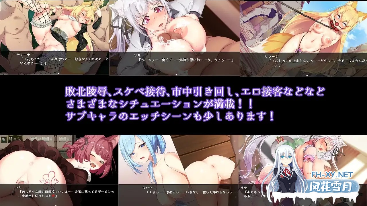 [爆款RPG/中文/CV/NTR/PC+安卓joi]兽耳少女才不会背叛呢！獣耳乙女は裏切らない  官方中文步兵版[2.43G]-5.jpg