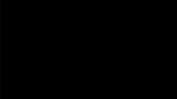 IMG_2840.gif
