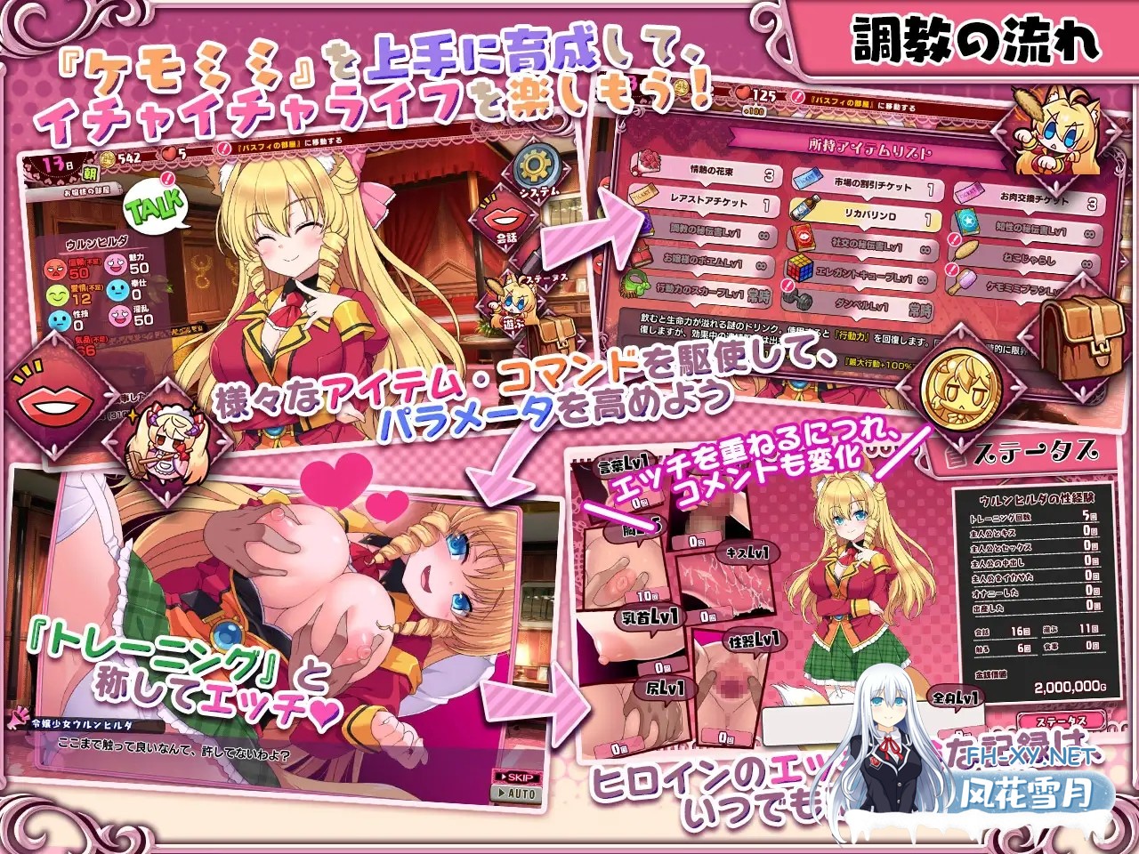 [SLG/STEAM官中/女仆/足交/反向奸/巨乳][RJ356209/サークル冥魅亭社团]兽耳☆训练 ～狂暴兽耳大小姐的调教试验/ケモミミ☆トレーニング ～狂暴けも...-2.jpg