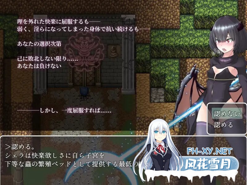 [日式RPG/汉化] 捕妻迷宫~雪拉莉德的异种终身刑~ 妻獲り迷宮~シェラリィドの異種姦終身刑~ 汉化版 作弊+全CG [1.20G/百度]-7.jpg