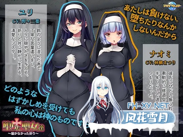 [ADV/机翻+AI文本/堕落/中出/多p/巨乳][VJ01004589/アパタイト社团]堕落的圣女们 ～无法传达的祈祷～/堕ちた聖女達 ～届かなかった祈り～[+全CG存档]...-8.jpg