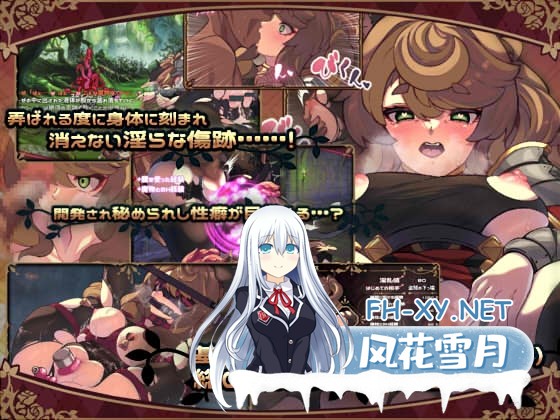 [精品RPG/官中]艾莉泽与迷离的木偶 官方中文步兵版[PC/800M]-5.jpg