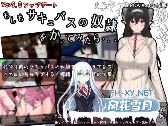 [RPG/机翻+AI文本/魅魔/反向奸/奴仆/多P][RJ285589/まんじゅうX社团]如果试着买下魅魔奴隶/もしもサキュバスの奴○をかってみたら[Ver2.2][PC+安卓/2.10...-1.jpg