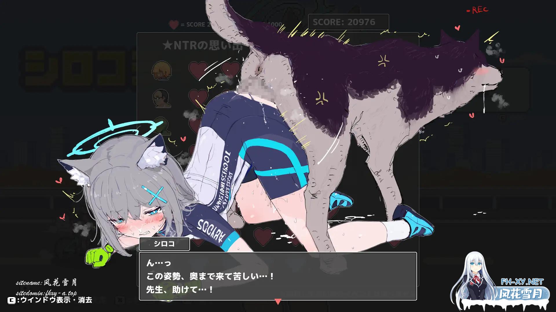 146936a524d39d5b85.png